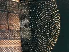 -君悦酒店·1881·北京烤鸭