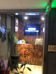 -藤野造型