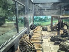 -昆明动物园