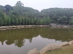-广州市帽峰山景区