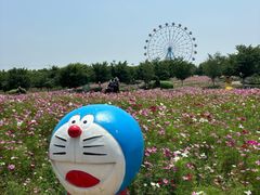 -云幽谷旅游区