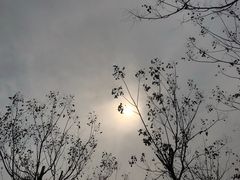 -洨河生态公园