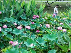 -沐仙湖湿地公园