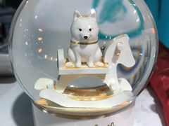 -Trend1881视光·蔡司视觉(领展广场店)