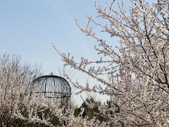 -莲花池公园