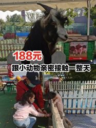 -萌宠亲子动物乐园(槐房万达店)