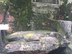 -南山植物园