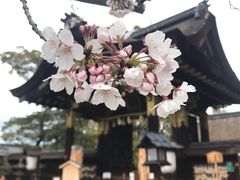 -丰国神社