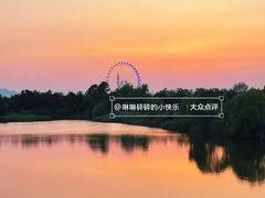 -日照海滨国家森林公园