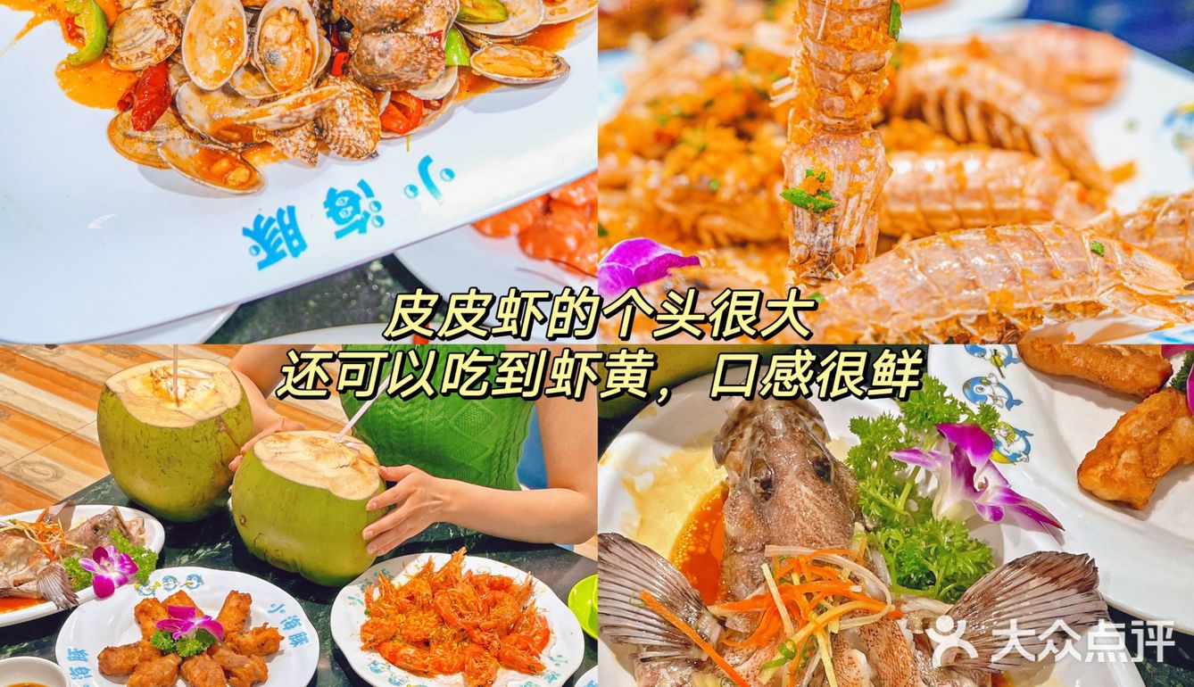 三亚/小海豚没白来吃！