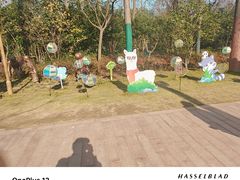 -合肥滨湖国家森林公园