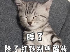 -宝乐康动物医院(北潞园店)