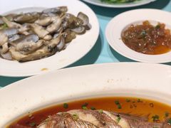 清炒鸡毛菜-高佳庄·舟山海鲜(海景旗舰店)