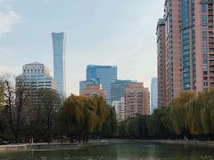 -团结湖公园