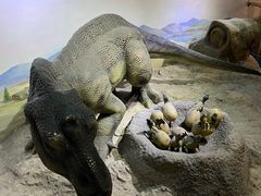 -国家自然博物馆