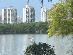 -京尚道韩式美食屋(海甸岛店)