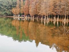 -广州市白云山风景名胜区