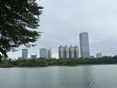 -南宁南湖公园