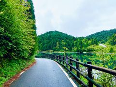 -武陵山森林公园