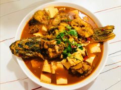 -煲来饱去冷水鱼