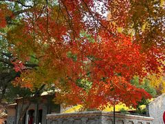 -苏州大学(天赐庄校区)