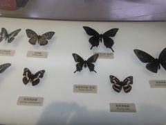-中国湿地博物馆