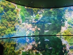 -中国湿地博物馆