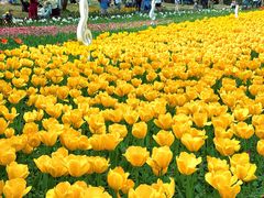 -苏州上方山国家森林公园