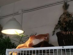 -小时光咖啡馆(北锣鼓巷店)