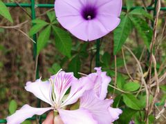 -南丰汇(新港东路店)