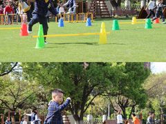-上海松江区迪笙幼儿园