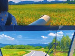 -良渚古城遗址公园