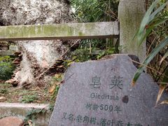-石老人观光园