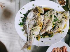 野生黄腊鱼-阳江餐厅·30年老字号·粤菜海鲜大排档