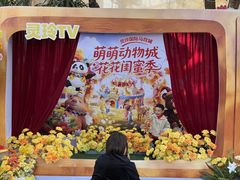 -灵玲国际马戏城