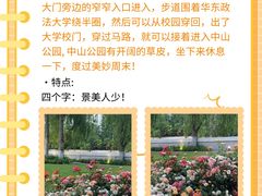 -广富林郊野公园