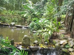 -深圳仙湖植物园