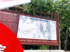 -少华山国家森林公园