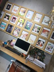 点击看大图 -Angel Fish photography 儿童摄影工作室(亚运村店)
