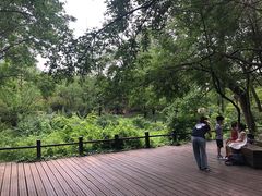 -Tubestation站点比萨(五道营店)