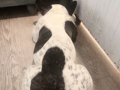 -小时光咖啡馆(北锣鼓巷店)