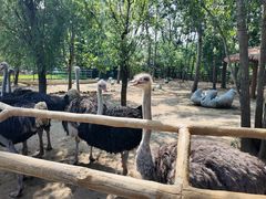 -大连森林动物园