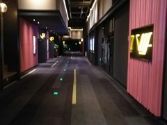 -万达影城(闵行颛桥万达广场杜比影院店)