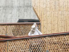 -溪口-滕头旅游景区