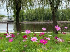 -长春公园(普阳街道)