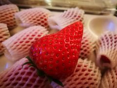 -盒马鲜生(莱蒙都会店)