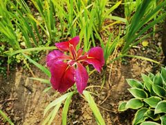 -贵阳市花溪国家城市湿地公园