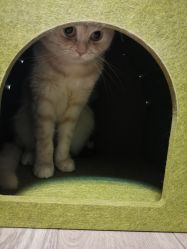 点击看大图 -齐伽生活馆·瑜伽·普拉提·阿育吠陀