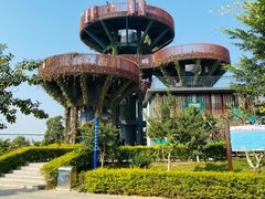 -芒洲湿地公园
