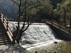 -少华山国家森林公园